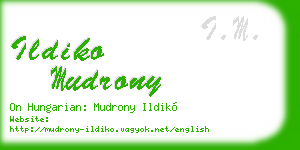 ildiko mudrony business card